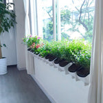 Plant Wall Vertical Indoor and Outdoor Balcony Wall-mounted Flower Pots Creative Combination of Resin Plastic Flower Pots with Removable Pot