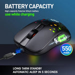 HXSJ T100 10000 DPI RGB Macro Definition Wired Wireless Dual-mode Mouse