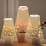 10W 48 LEDs Succulent Plant Grow Fill Light, Angel Ring, Bee, Round Tube