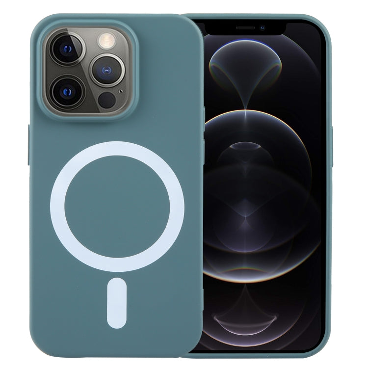 MagSafe Liquid Silicone Phone Case, For iPhone 12 Pro, For iPhone 11 Pro Max, For iPhone 11, For iPhone 11 Pro