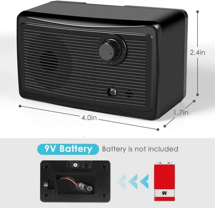Image alt