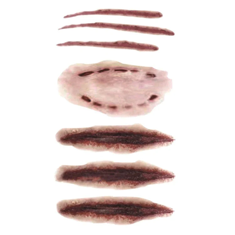 Image alt