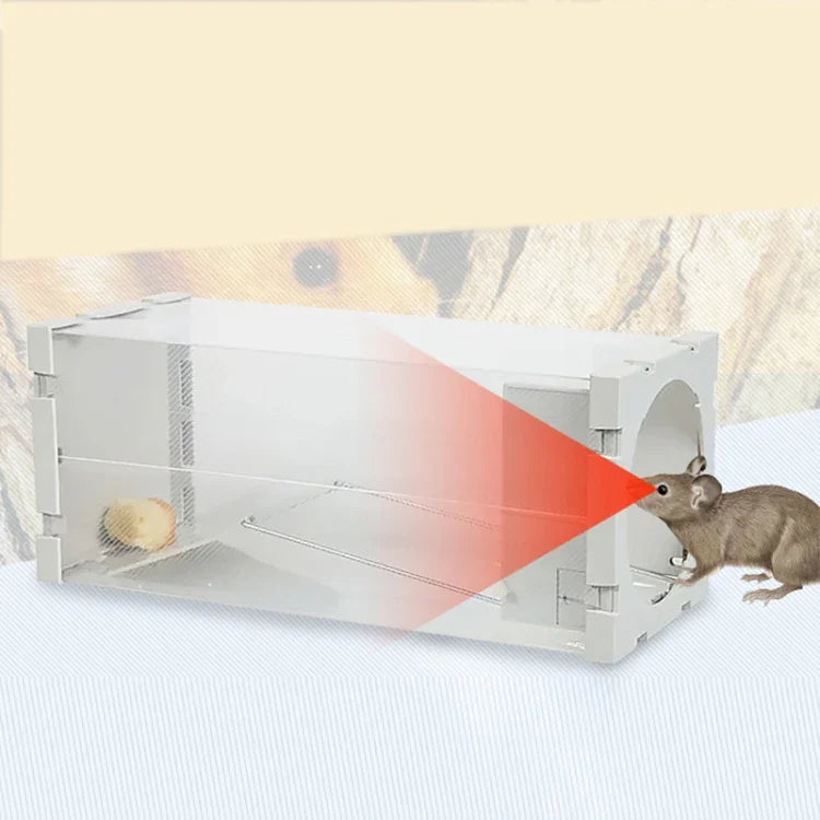 画像代替テキスト