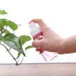 10 PCS Portable Refillable Plastic Fine Mist Perfume Spray Bottle Transparent Empty Spray Sprayer Bottle, 80ml, 80ml