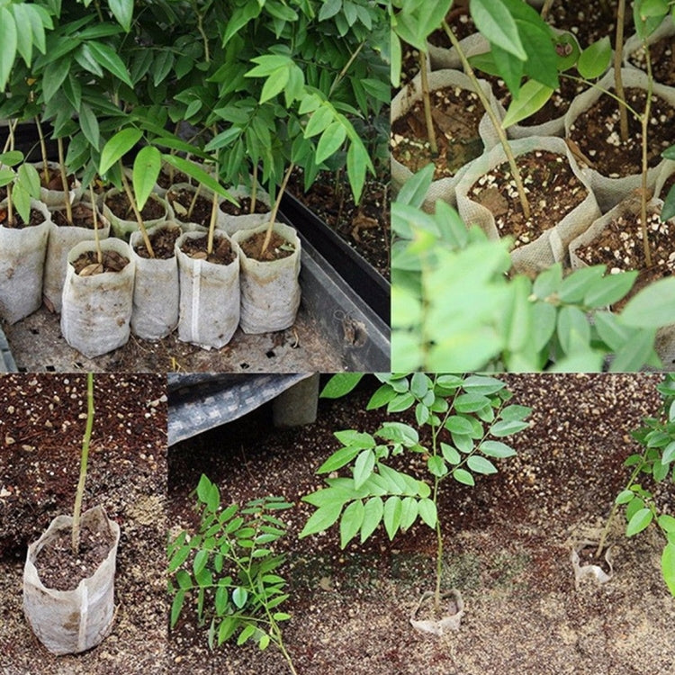 100pcs/Pack Nursery Pots Seedling-Raising Bags Environmental Non-woven Nursery Bags, 1000 PCS Nursery Bags