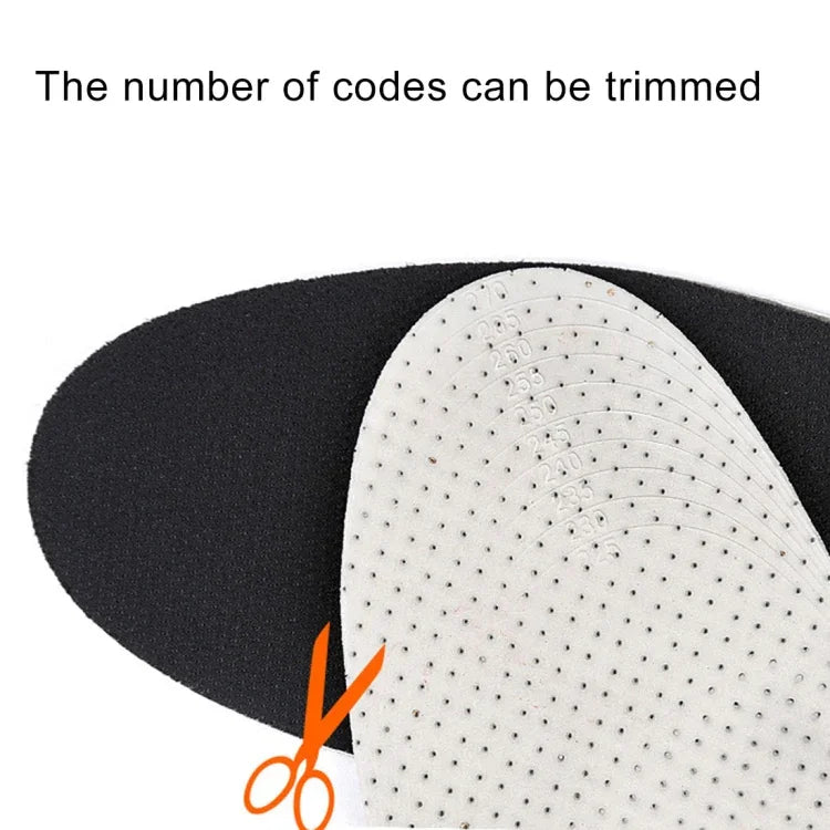 画像代替テキスト