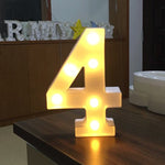 Dry Battery Powered Warm White Standing Hanging Holiday Light, LED6214A, LED6214B, LED6214C, LED6214D, LED6214E, LED6214F, LED6214G, LED6214H, LED6214J, LED6214K