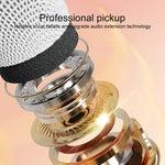 C20 Plus Multifunctional Karaoke Bluetooth Speaker With Microphone