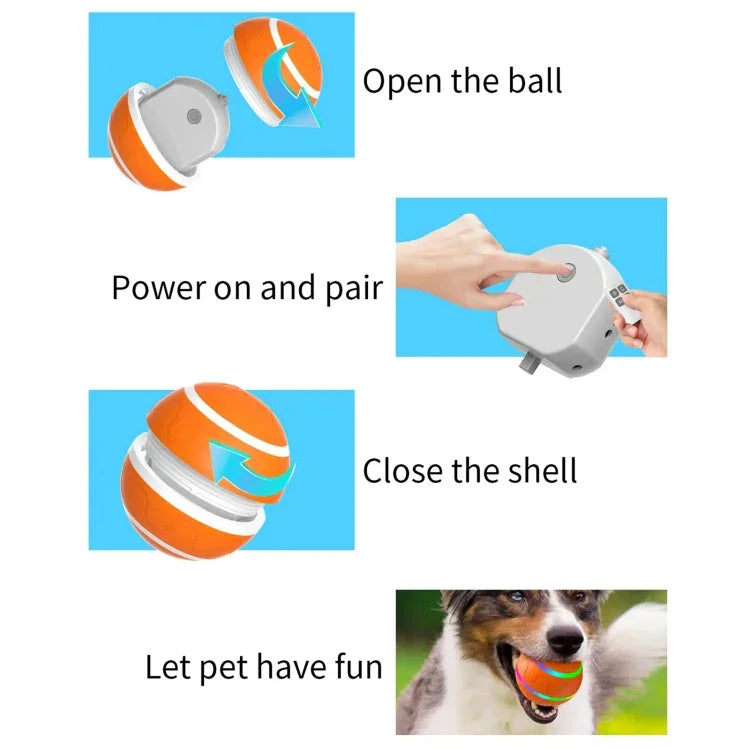 O1 Intelligent Remote Control Pet Toy Dog Training Luminous Ball, Remote Control