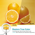 PULUZ 10.2 inch 26cm USB 10 Modes 8 Colors RGBW Dimmable LED Ring Vlogging Photography Video Lights with Cold Shoe Tripod Ball Head & Phone Clamp, 10.2 inch RGBW