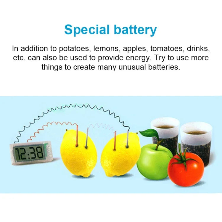 DIY Novel Green Science Potato Digital Clock Educational Kit with 2 inch LCD Screen (Potato NOT Included), Potato Digital Clock