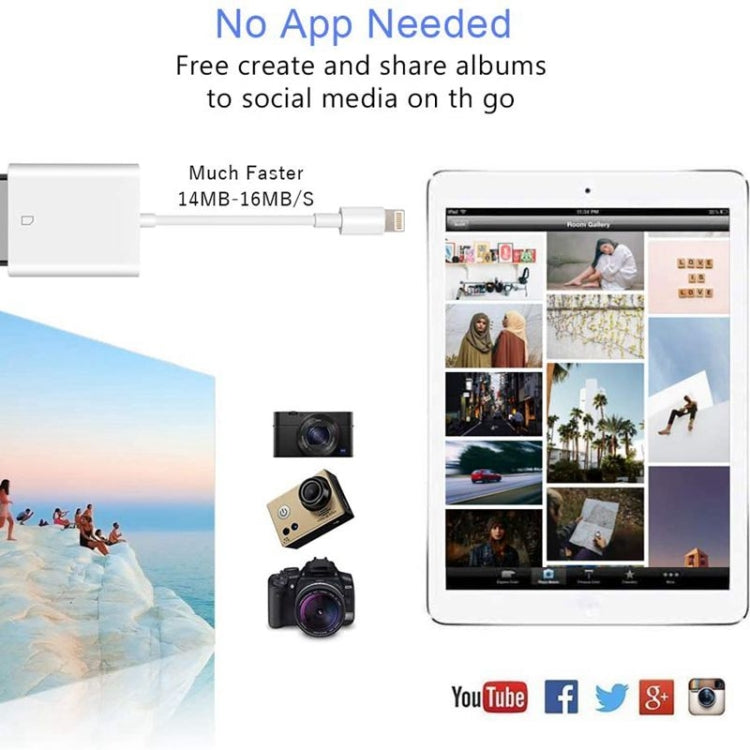 ZS-KL21810 8 Pin to SD Card Camera Card Reader Adapter, Support All iOS System, SD Card Slot