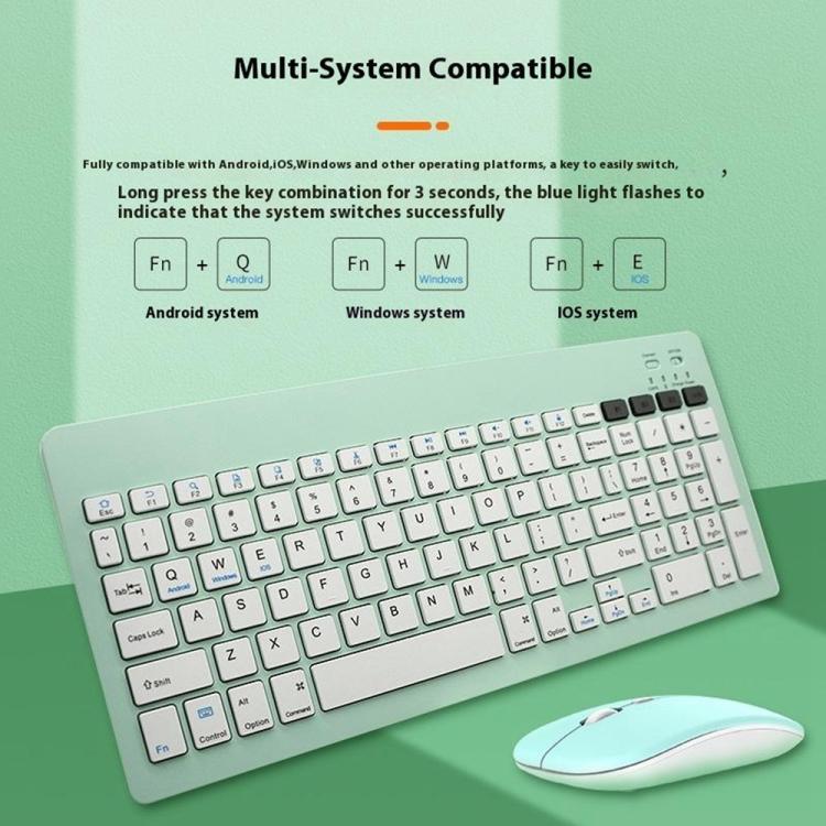 نص بديل للصورة