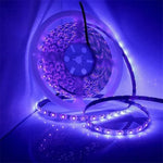 2835 SMD UV Purple Light Strip LED Lamp Decorative Light Strip, Waterproof 5m, Waterproof 10m, Bare Board 5m, Bare Board 10m
