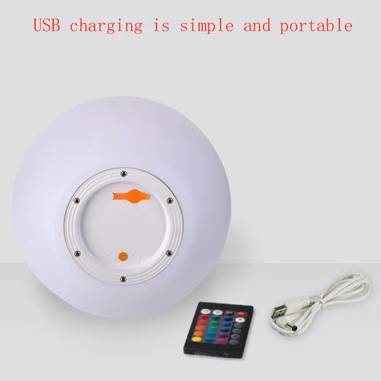 LED Remote Control Dimming Living Room Sofa Floor Lamp Creative Bedroom Bedside Decorative Light, 200mm, 250mm