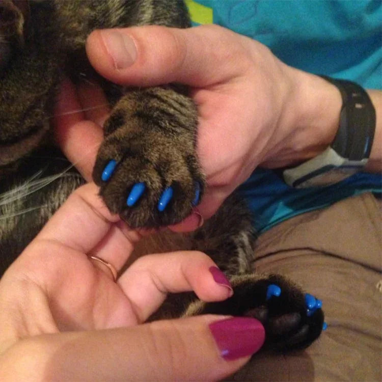 20 PCS Silicone Soft Cat Nail Caps / Cat Paw Claw / Pet Nail Protector/Cat Nail Cover, XS, S, L