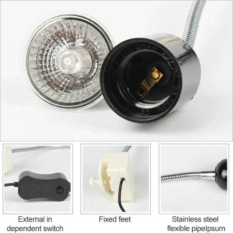 画像代替テキスト