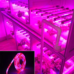 5m 300 LEDs SMD 5050 Full Spectrum LED Strip Light Fitolampy Grow Lights for Greenhouse Hydroponic Plant, Waterproof