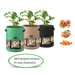 360 Degree Transparent Potato Bag In The Middle Covered Plant Growing Bag, Large (35x45cm) 43 Liters/10 Gallons, Medium (30x35cm) 26 Liters/7 Gallons