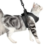 Cat Leash Pet Chest Harness Leash, S