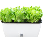 Family Balcony Rectangular Plastic Self-Absorbent Vegetable Growing Pot Flower Pot, Style:, SC01 Extra Large Pot, SC02 Big Pot