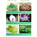 LED Full Spectrum Plant Growth Light, 10w Cutout 80mm, 15w Cutout 95mm, 20w Cutout 120mm, 30w Cutout 150mm, 35w Cutout 150mm, 40w Cutout 150mm