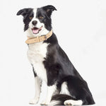 JINMAOHOU Dogs Double-Layer Leather Collar, XS 34x1.7cm, S 39x2.2cm, M 49x2.7cm, L 59x3.2cm