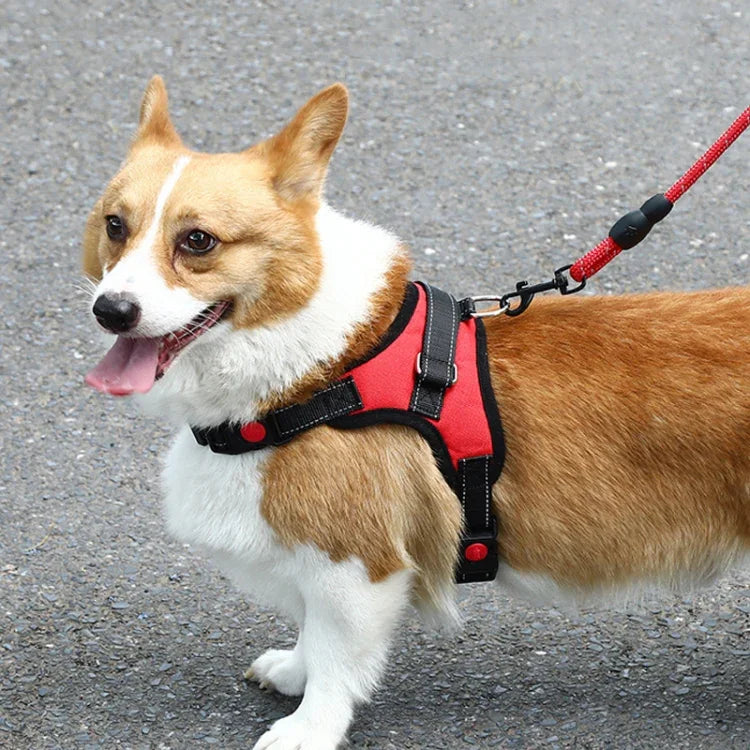 K9 Dog Adjustable Chest Strap, Size:, XS, S, M