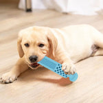 Washing Board Toothpaste Shape Bite Toys TPR Dog Teething Stick, Washing Board Toothpaste Shape, Washing Board Toothpaste Shape Light Blue, Washing Board Toothpaste Shape Pink