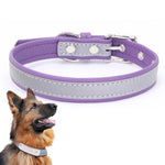 CL181K Pet Soft Reflecting Collar, XL No Iron Sheet Purple, XS No Iron Sheet Purple, XXL No Iron Sheet Red, S No Iron Sheet Red, XL No Iron Sheet Dark Brown, XS No Iron Sheet Dark Brown, L No Iron Sheet Light Green, XL No Iron Sheet Light Brown        ...