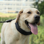 Cloth Tape Paste Detachable Training Stimulation Dog Collar, M 2.5mm x 35cm, L 3.0mm x 50cm, XL 3.5mm x 55cm, XXL 4.0mm x 60cm