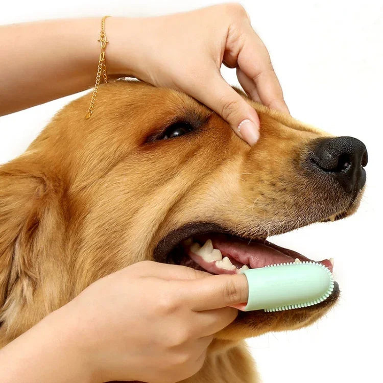 Pets Finger Toothbrush With Handle Dogs And Cats Oral Cleaning Tools