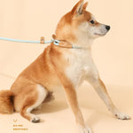 Dog Traction Rope Mid Large Dog Universal Safety Buckle Chain Circle, 1.5m x 0.6cm, 1.5m x 0.8cm, 1.5m x 1cm, 1.8m x 0.6cm, 1.8m x 0.8cm, 1.8m x 1cm