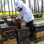 Stainless Steel Curved Tail Beehive Scraper Beekeeping Tools