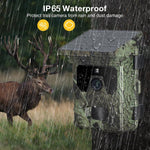 2K 4G Outdoor Hunting Camera With APP Remote Mobile Control, Supports Email / FTP, HC-600Pro