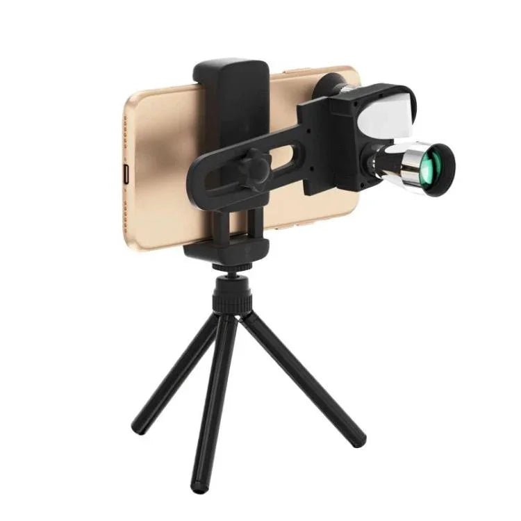 نص بديل للصورة