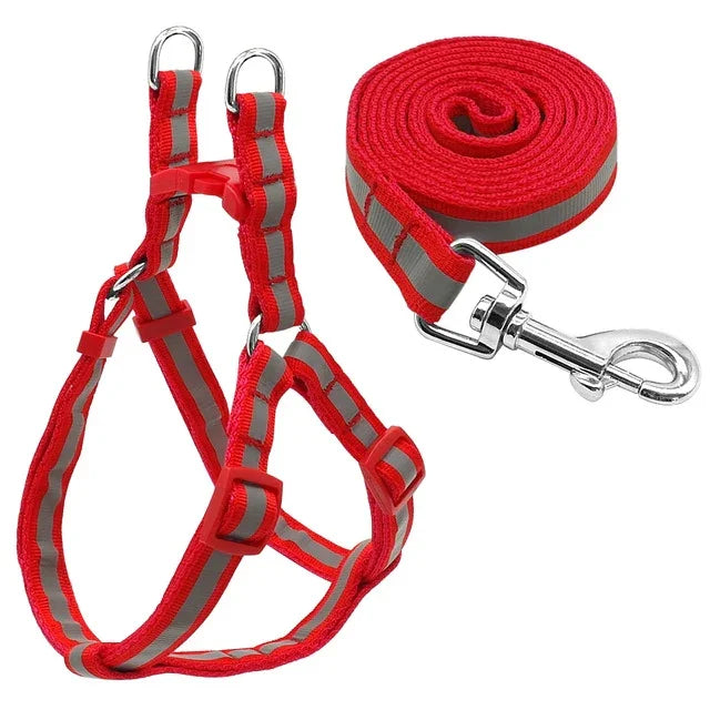 Small Medium Dogs Nylon Reflective Dog Leash Lead Set, S