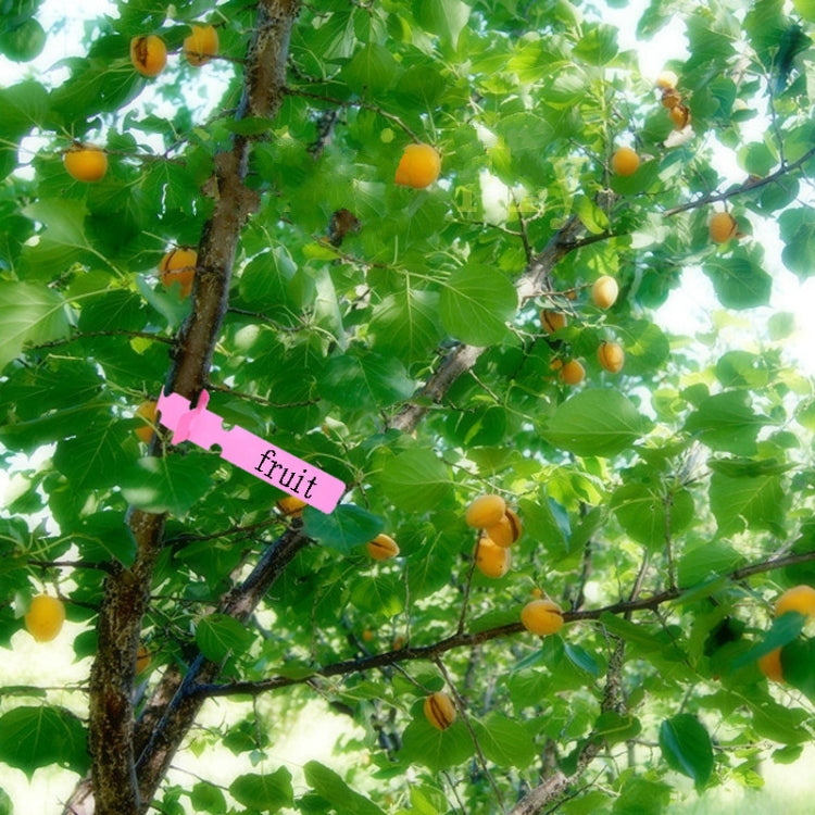 100 PCS Gardening Plant Sapling Seed Hanging Tree Label, Plant Label 5 White, Plant Label 5 Pink, Plant Label 5 Yellow, Plant Label 5 Green, Plant Label 5 Blue, Plant Label 5 Red