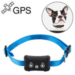 TK200 IP67 waterproof GPS tracker collar for real-time tracking of pets and goods.