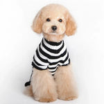 Halloween Skull Pet Sweater Cat & Dog Costume - Trustpick
