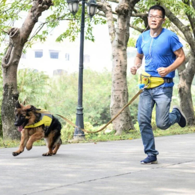 Lovoyager Pet Training Waist Bag Outdoor Walking Dog Snack Pocket - Trustpick