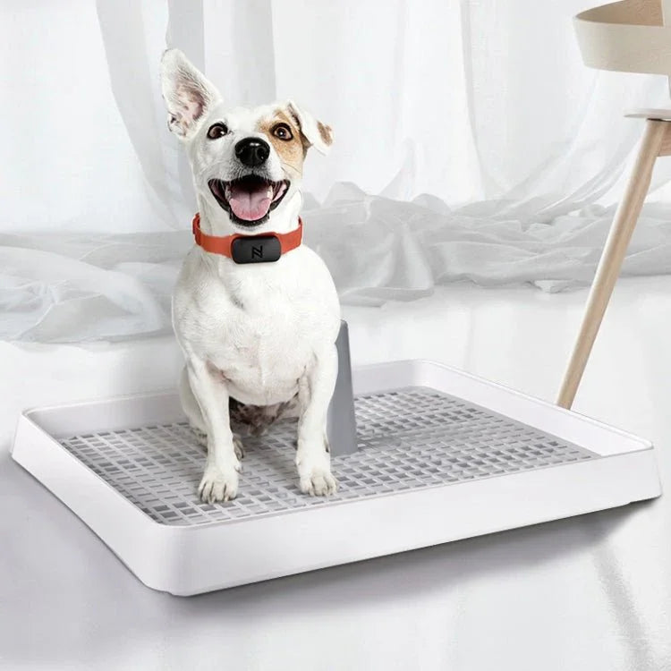 Open Type Pet Dog Toilet Potty Pet Supplies - Trustpick