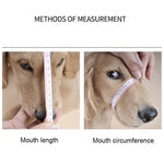Steel Cage Style Dog Basket Wire Muzzle Protective Snout Cover with Leather Strap, Size: M - Trustpick